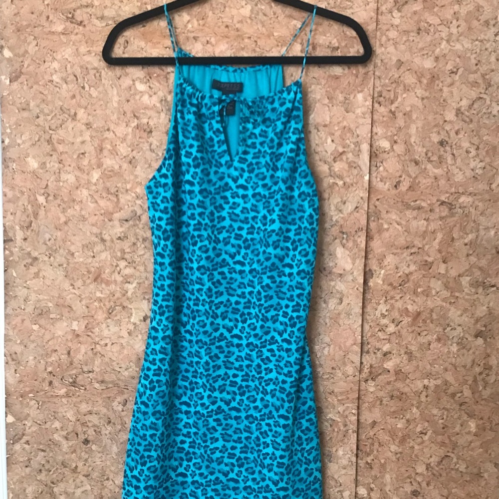 Vintage Express World Brand green dress